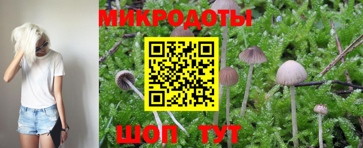 Галлюциногенные грибы мицелий Жуковский