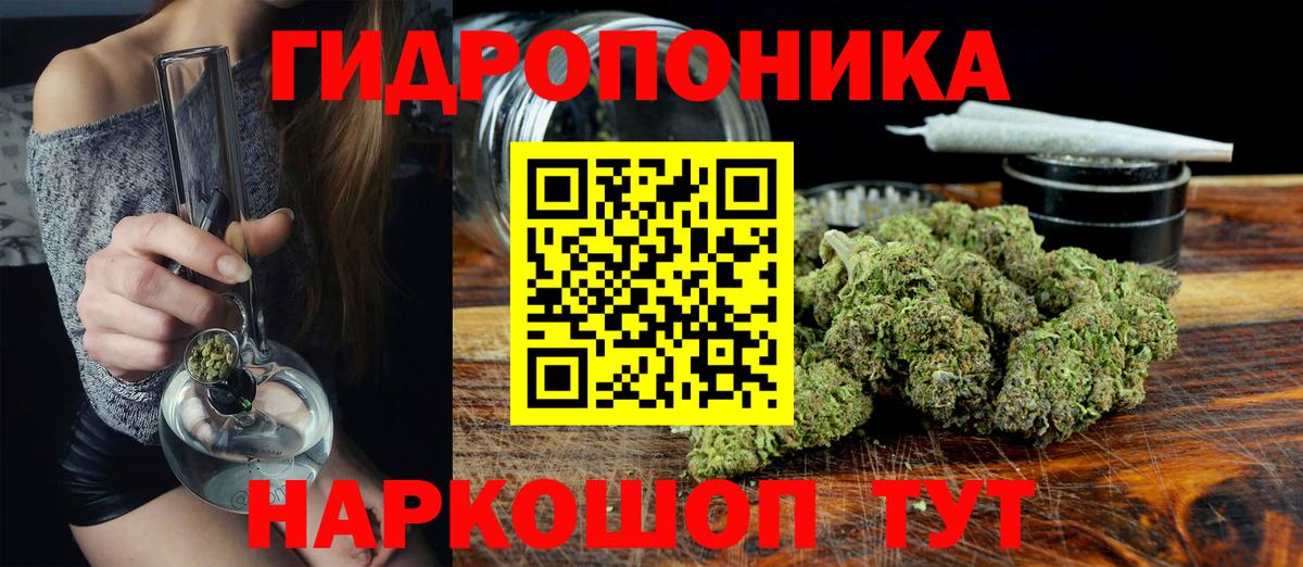 Шишки марихуана планчик Жуковский